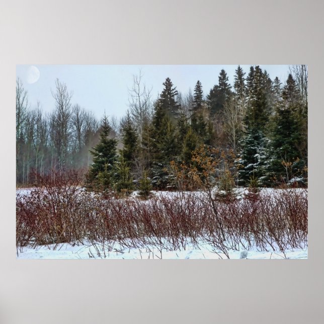 Winter Colours Poster (Front)