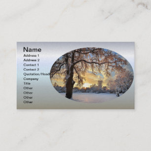 Winter Countryside In Latvia Business Card
