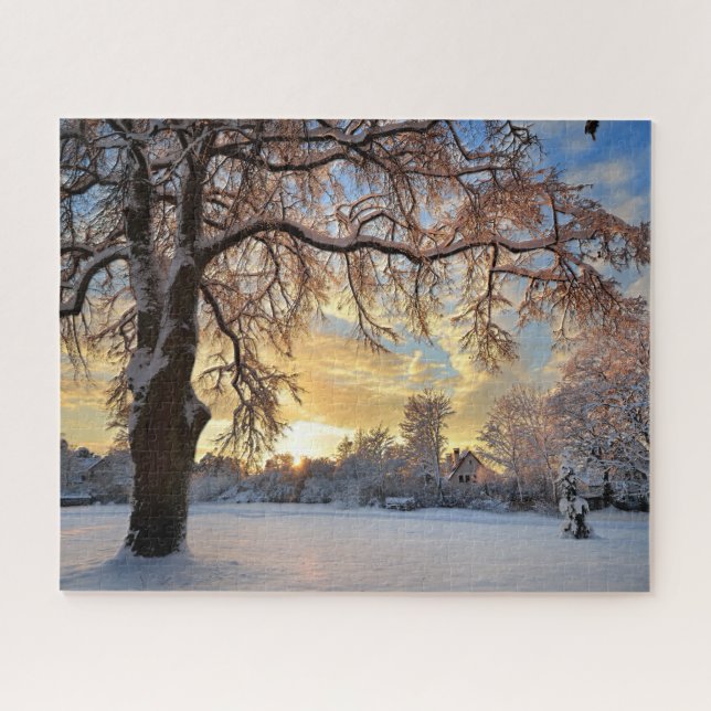 Winter Countryside In Latvia Jigsaw Puzzle (Horizontal)