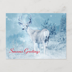 Winter Deer and Pine Trees Seasons Greetings Holiday Postcard