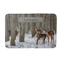 Winter Deer