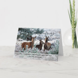 Winter Deer Snow Christmas Photo Personalised Holiday Card