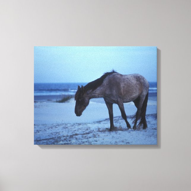 Winter Equine Solitude Canvas Print (Front)