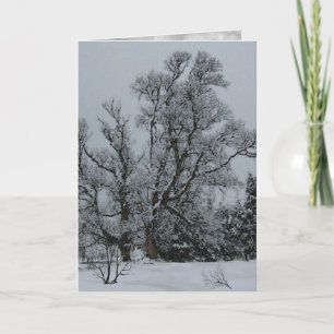 Winter Eve Card