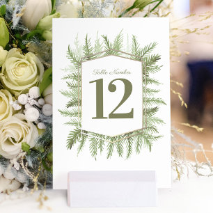 Winter evergreen green pine art wedding table number
