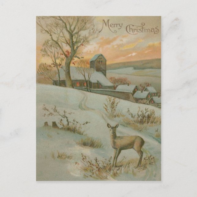 Winter Field Deer Church Snow Postcard (Front)