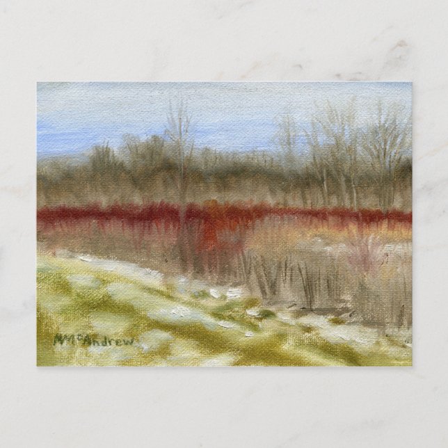 "Winter Field Sketch" oil landscape Postcard (Front)