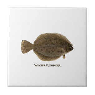 Winter Flounder Tile