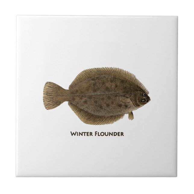Winter Flounder Tile (Front)