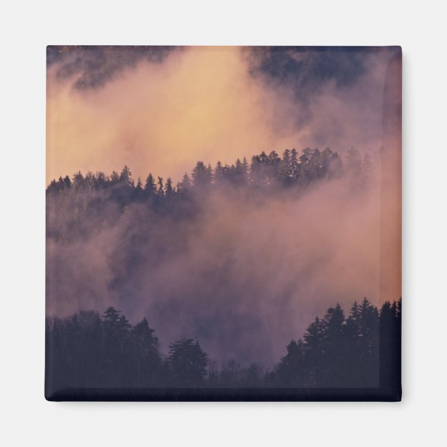 Winter fog in valley at sunset from Morton Magnet (Front)