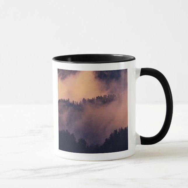 Winter fog in valley at sunset from Morton Mug (Right)
