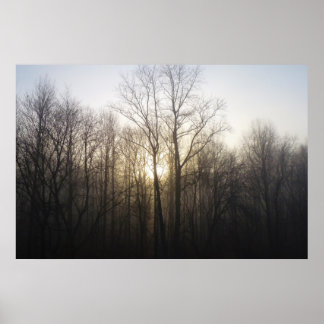 Winter Fog Sunrise Nature Photography Poster