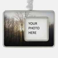 Winter Fog Sunrise Nature Photography