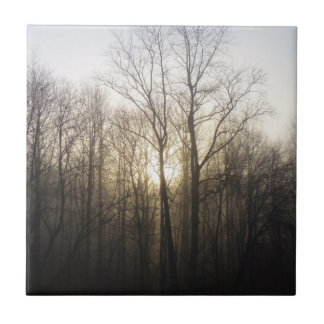 Winter Fog Sunrise Nature Photography Tile