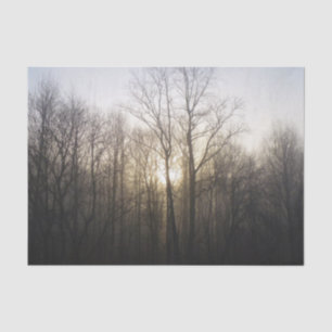 Winter Fog Sunrise Nature Photography Tissue Paper