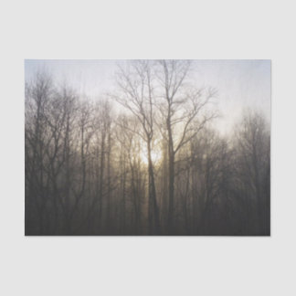 Winter Fog Sunrise Nature Photography Tissue Paper