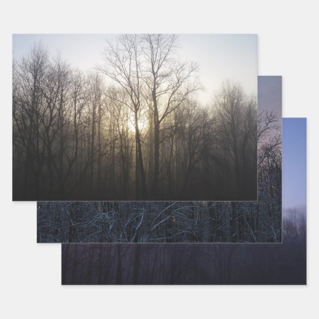 Winter Fog Sunrise Nature Photography Wrapping Paper Sheet (Set)