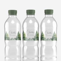 Winter Forest Bear Baby Shower