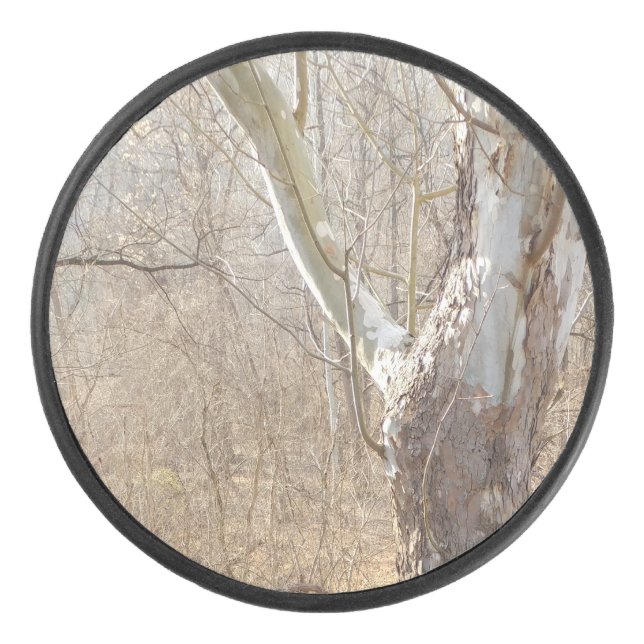 winter forest hockey puck (Front)
