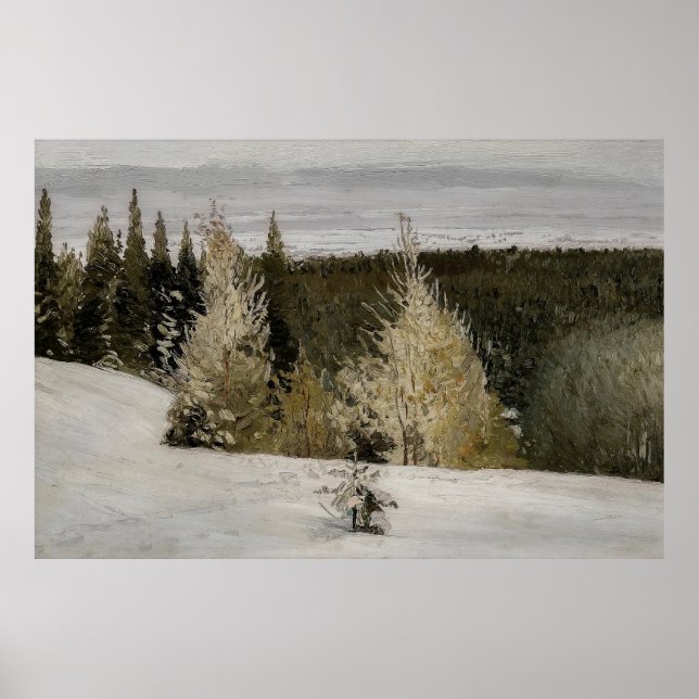 Winter Forest Landscape Poster (Front)