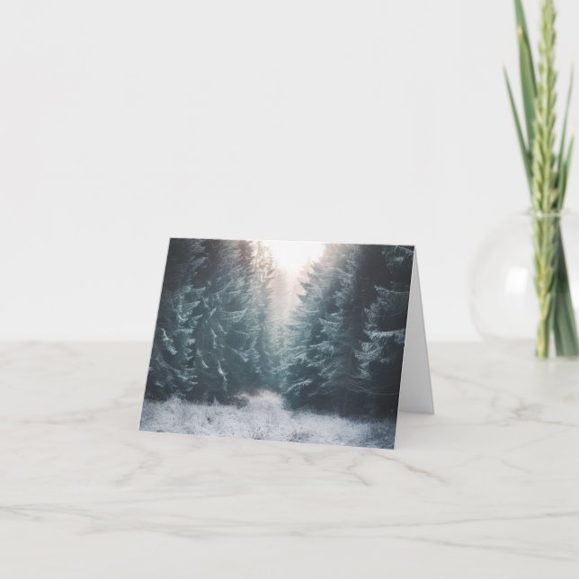 Winter Forest Light Holiday Card - Peaceful Snow  (Front)