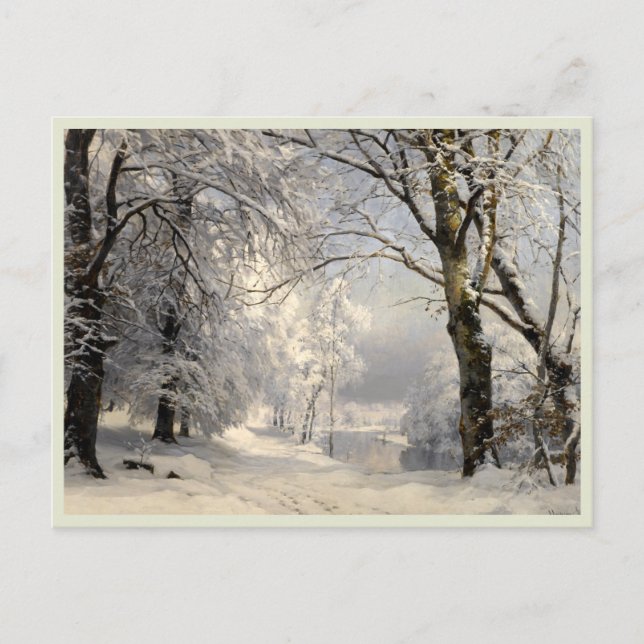Winter Forest  Postcard (Front)
