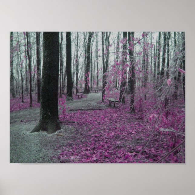 Winter Forest Poster (Front)