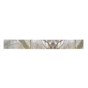 winter forest satin ribbon
