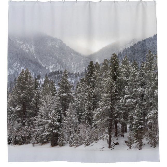 Winter Forest Scene Shower Curtain (Front)