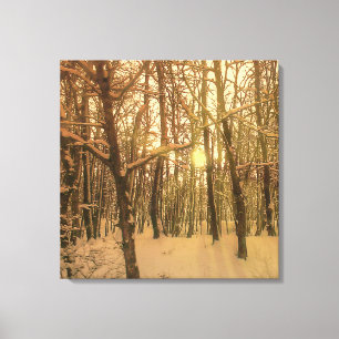 Winter Forest Snow And Light Canvas Print