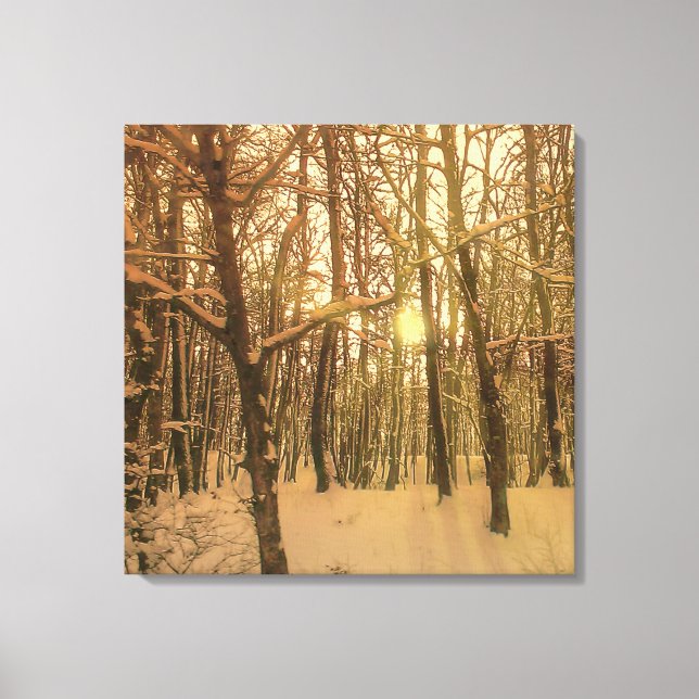 Winter Forest Snow And Light Canvas Print (Front)