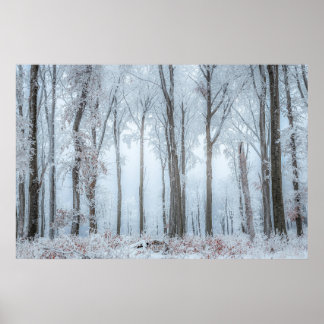 Winter forest trees #21 poster