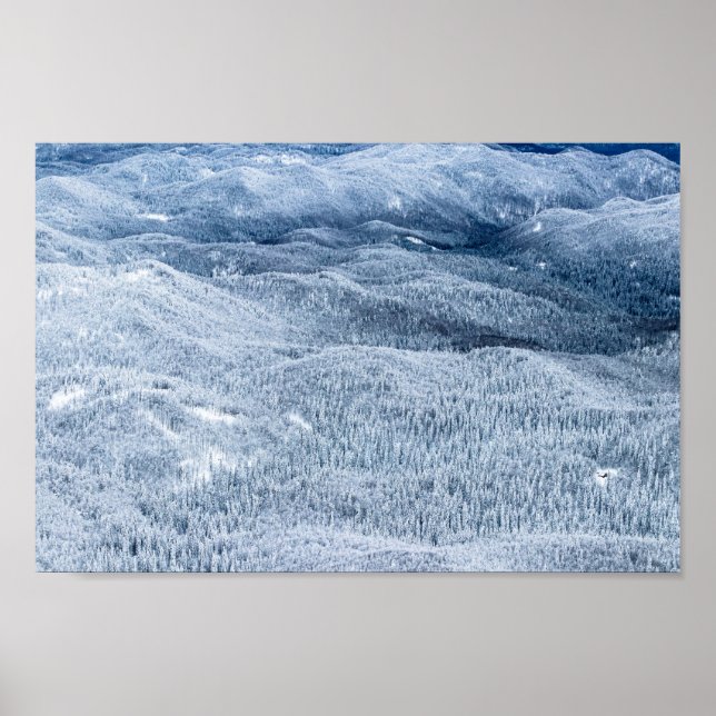Winter forest under deep snow poster (Front)