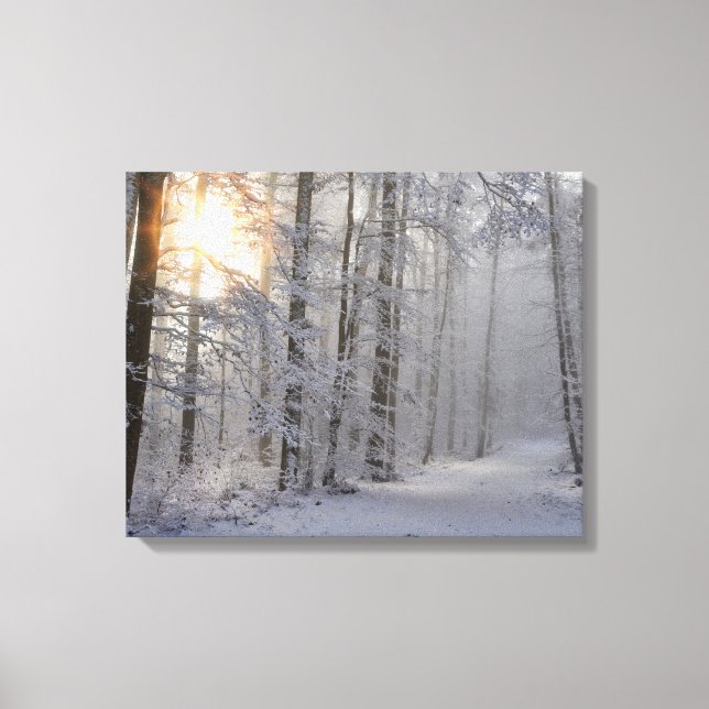 winter forest wrapped canvas (Front)