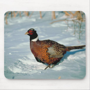 Winter Fowl Mouse Pad