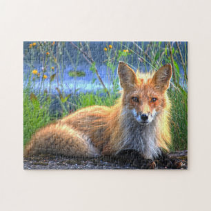 Winter Fox Quebec Canada. Jigsaw Puzzle