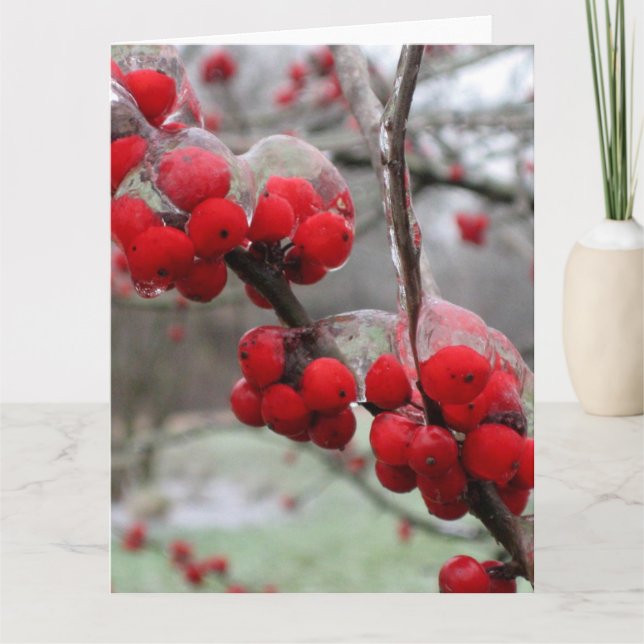 Winter Freeze and Ice on Red Berries Card (Front)