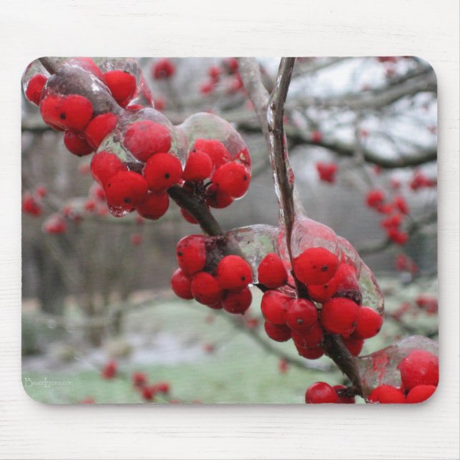 Winter Freeze and Ice on Red Berries Mouse Pad (Front)