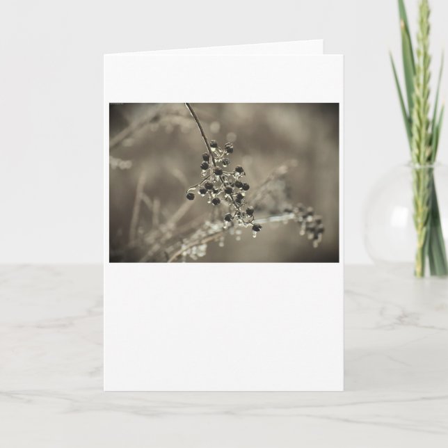 Winter Freeze, card (Front)