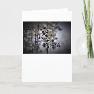 Winter Freeze, card