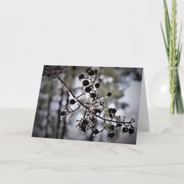 Winter Freeze, card (Front)