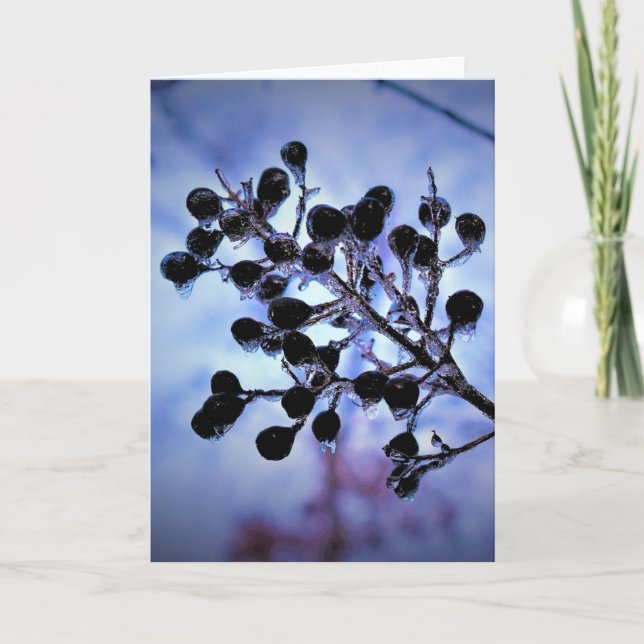Winter Freeze, card (Front)
