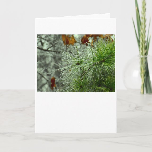 Winter Freeze, card (Front)
