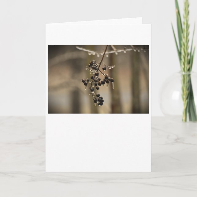 Winter Freeze, card (Front)