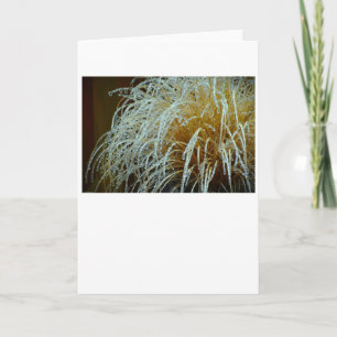 Winter Freeze, card