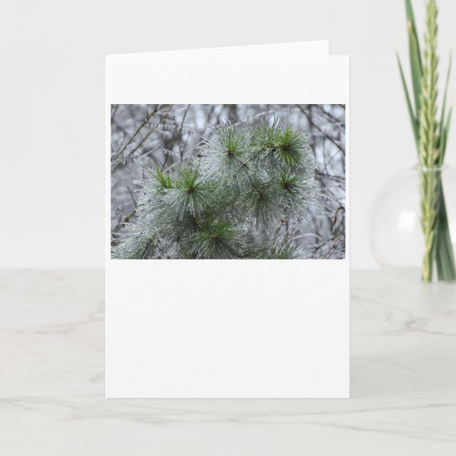 Winter Freeze, card (Front)