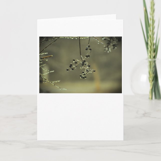 Winter Freeze, card (Front)