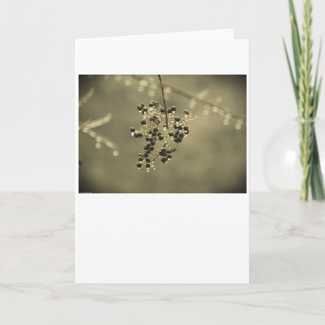 Winter Freeze, card (Front)