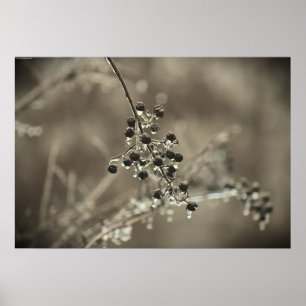Winter Freeze, Poster