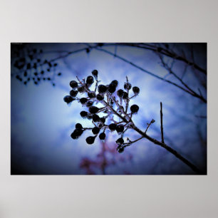 Winter Freeze,  Poster